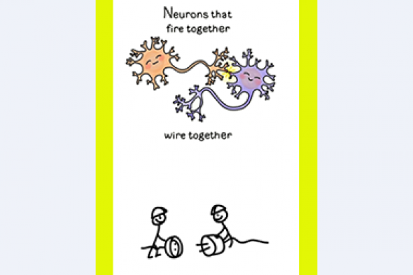 Neurons